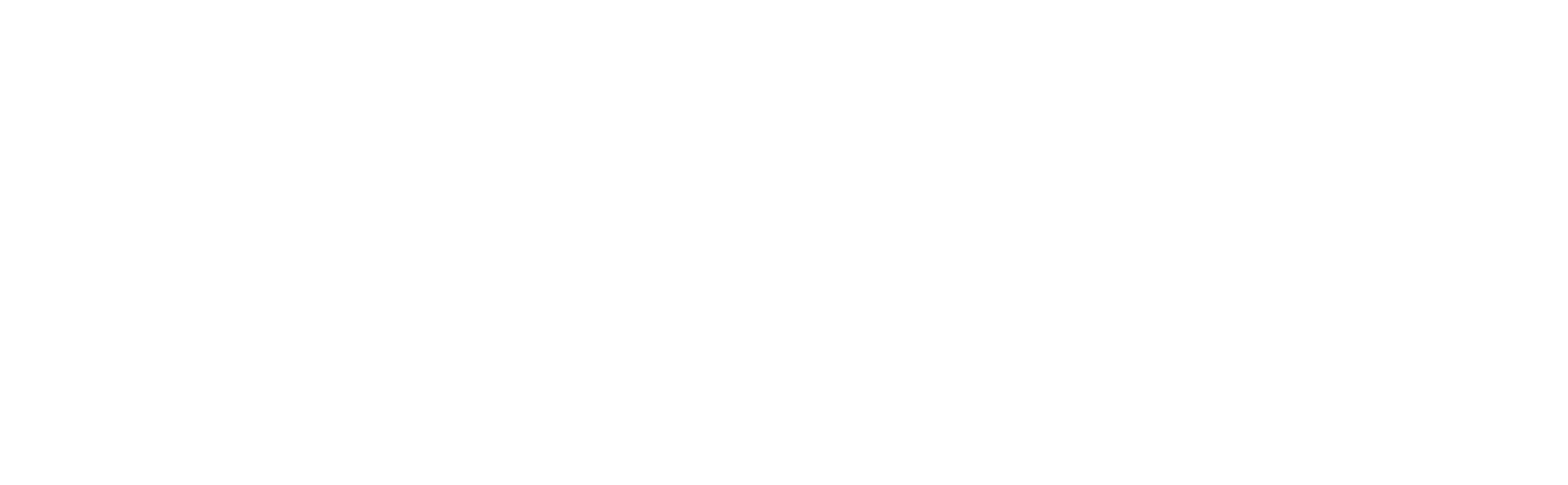Savannah Martial Arts